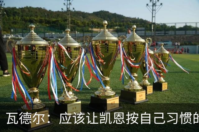 瓦德尔：应该让凯恩按自己习惯的方式踢球，他可以胜任10号位置